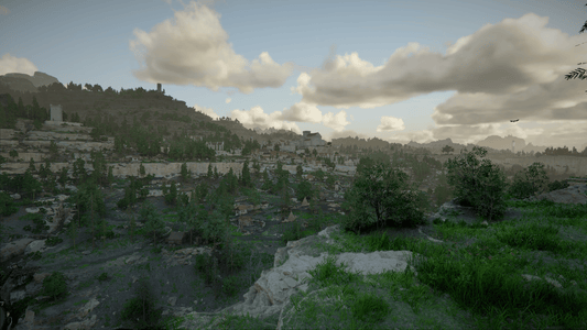 A landscape with many trees and mountains