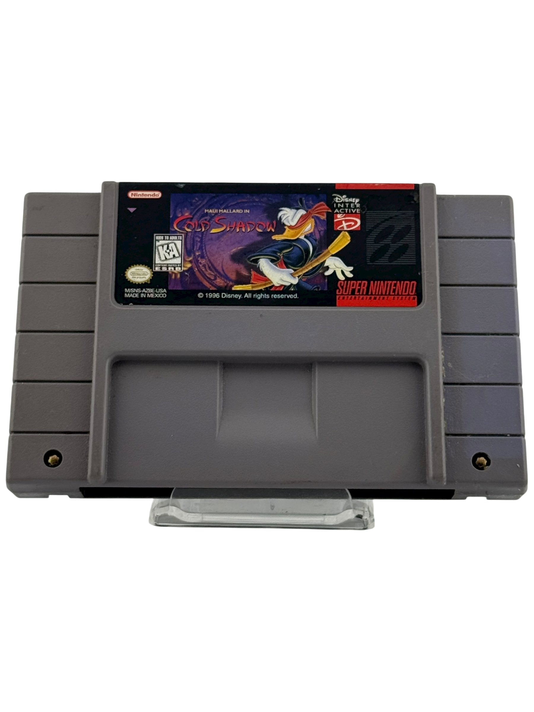 Maui Mallard In Cold Shadow