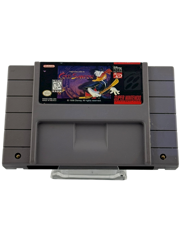 Maui Mallard In Cold Shadow