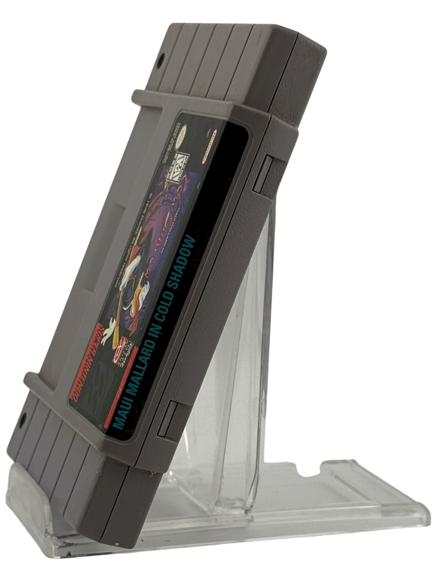 Maui Mallard In Cold Shadow