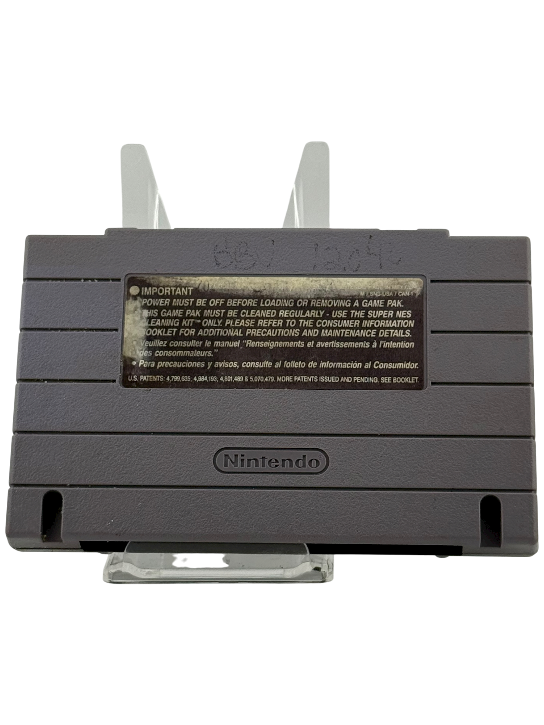 Maui Mallard In Cold Shadow