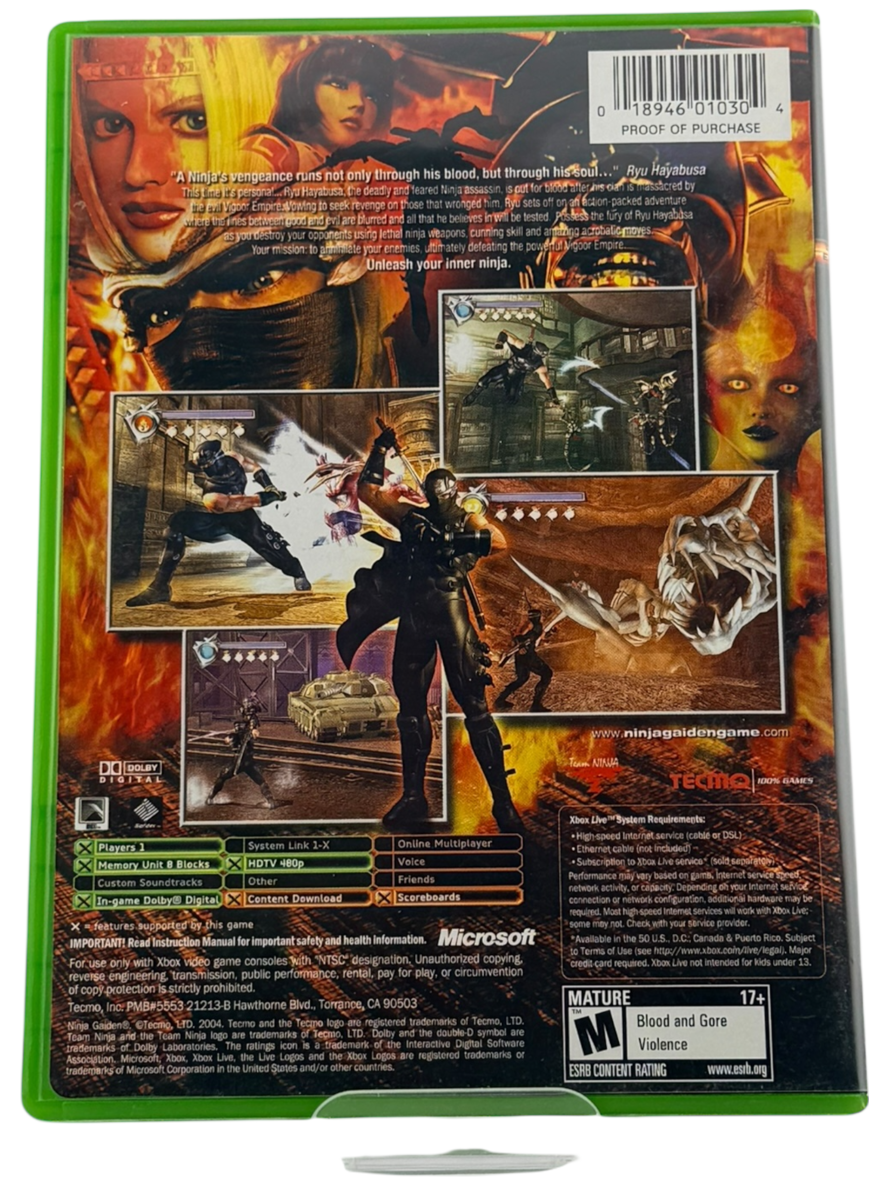 Ninja Gaiden