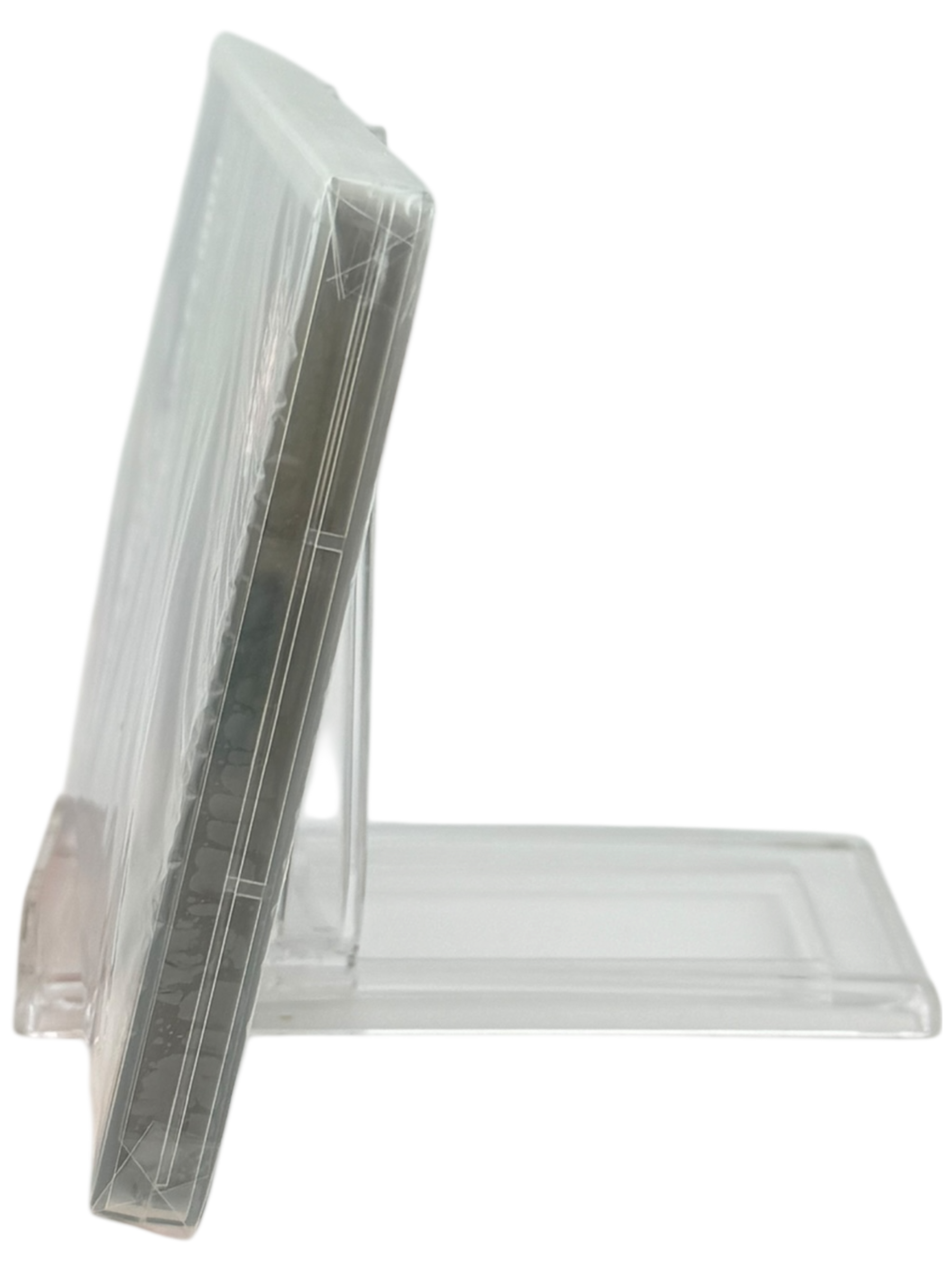 The Flame in the Flood [PAL Edition]