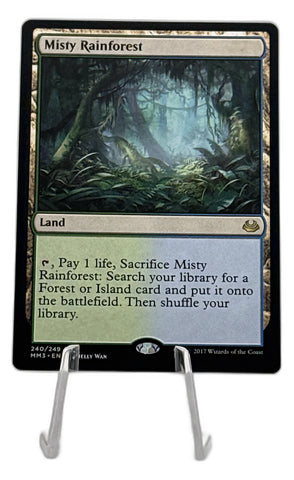 Misty Rainforest