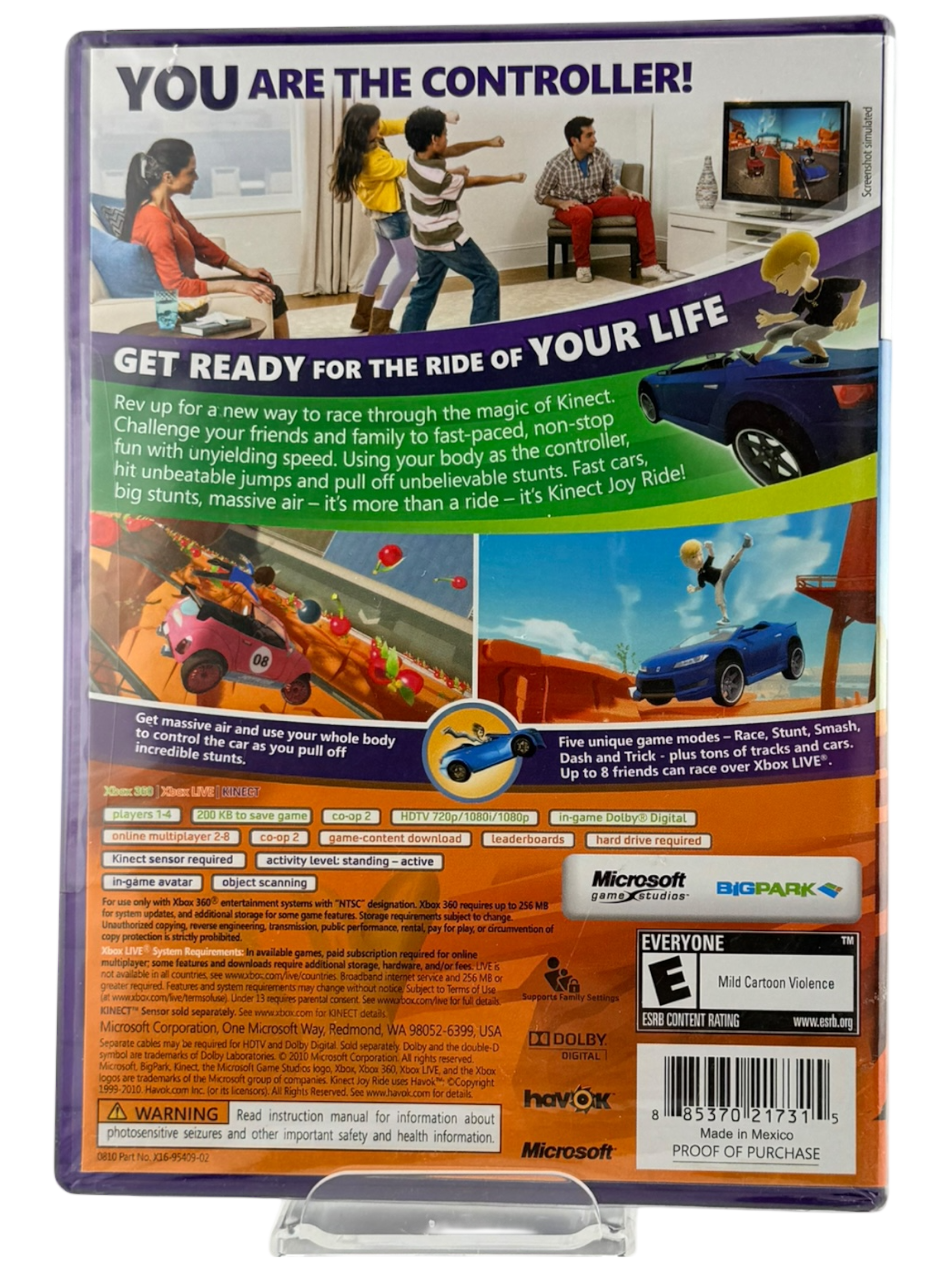 Kinect Joy Ride