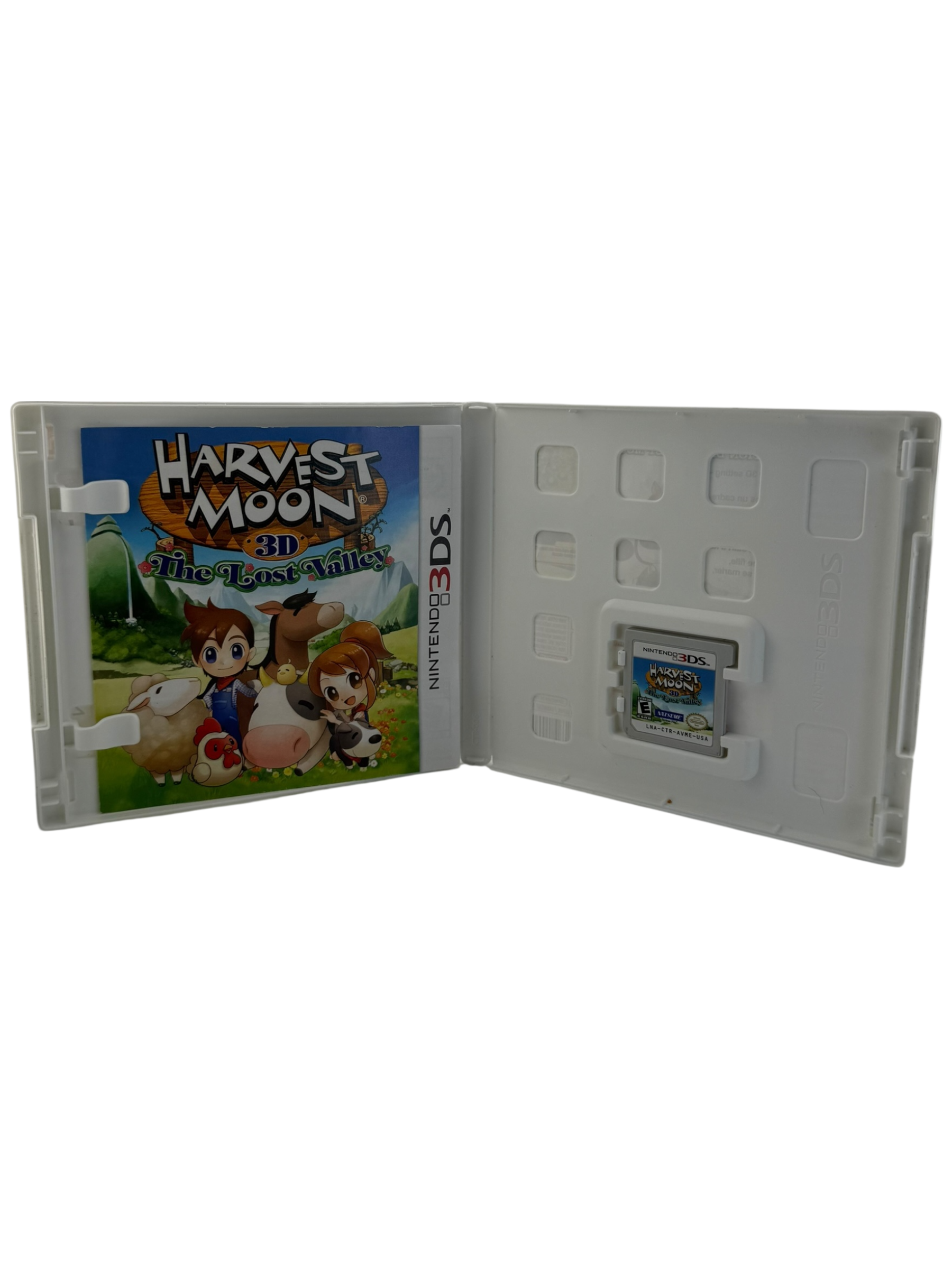 Harvest Moon 3D: The Lost Valley