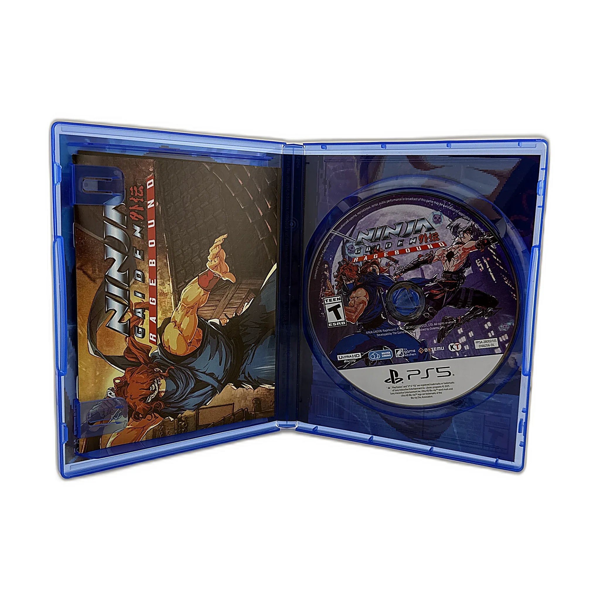 Ninja Gaiden: Ragebound