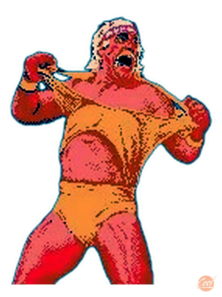 WWF Wrestlemania - NES [Loose Game]