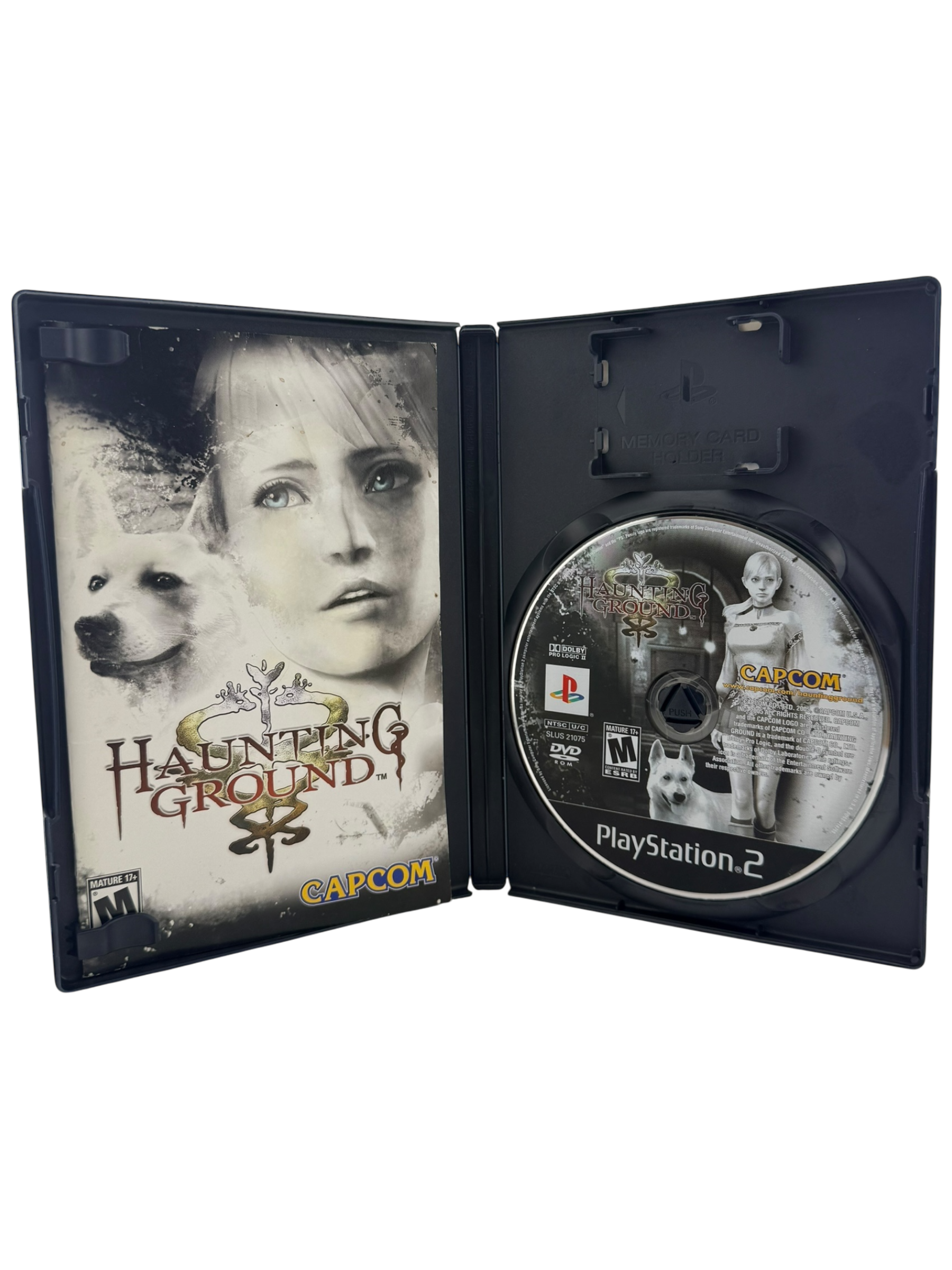 Haunting Ground