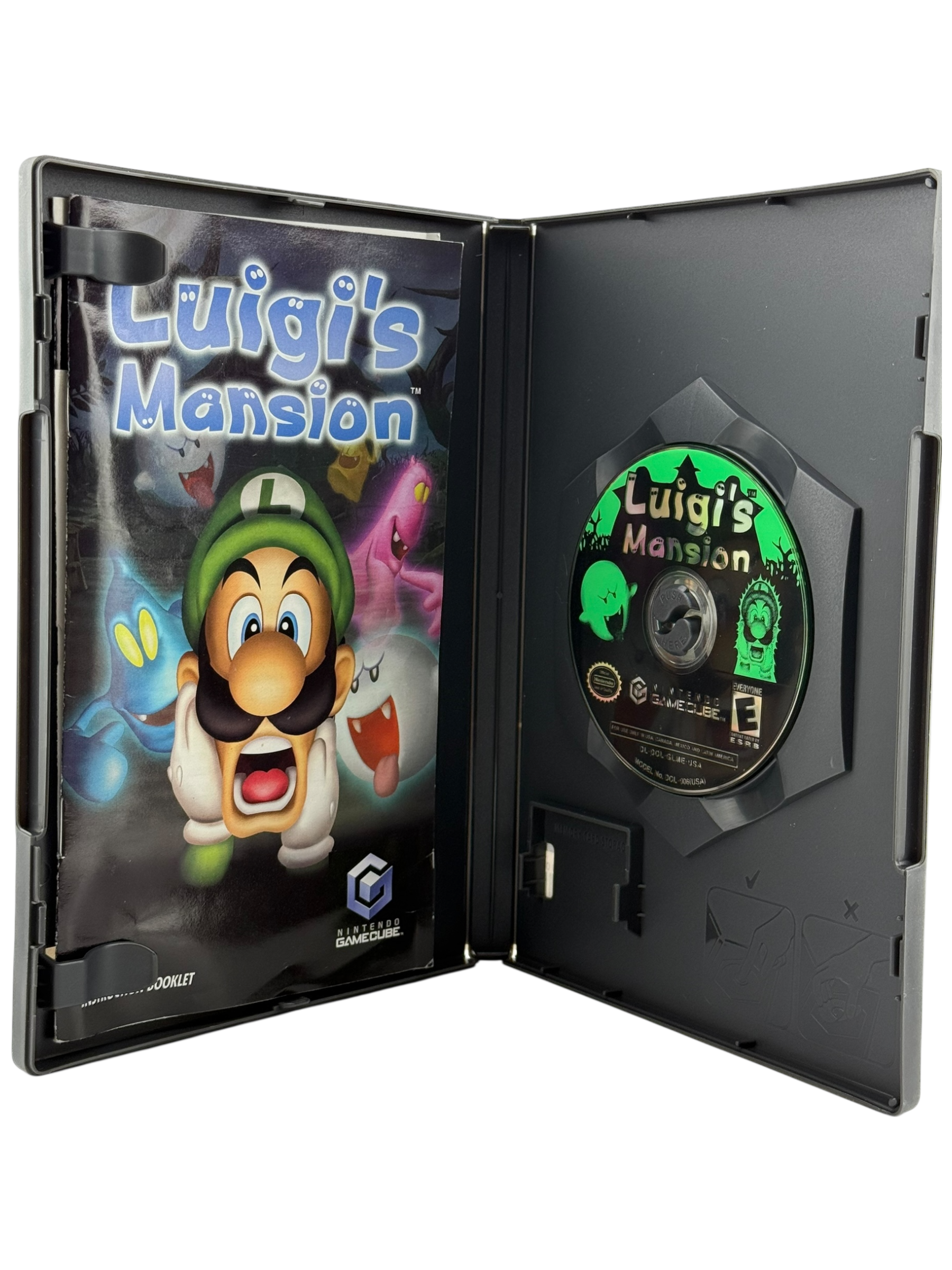 Luigi's Mansion