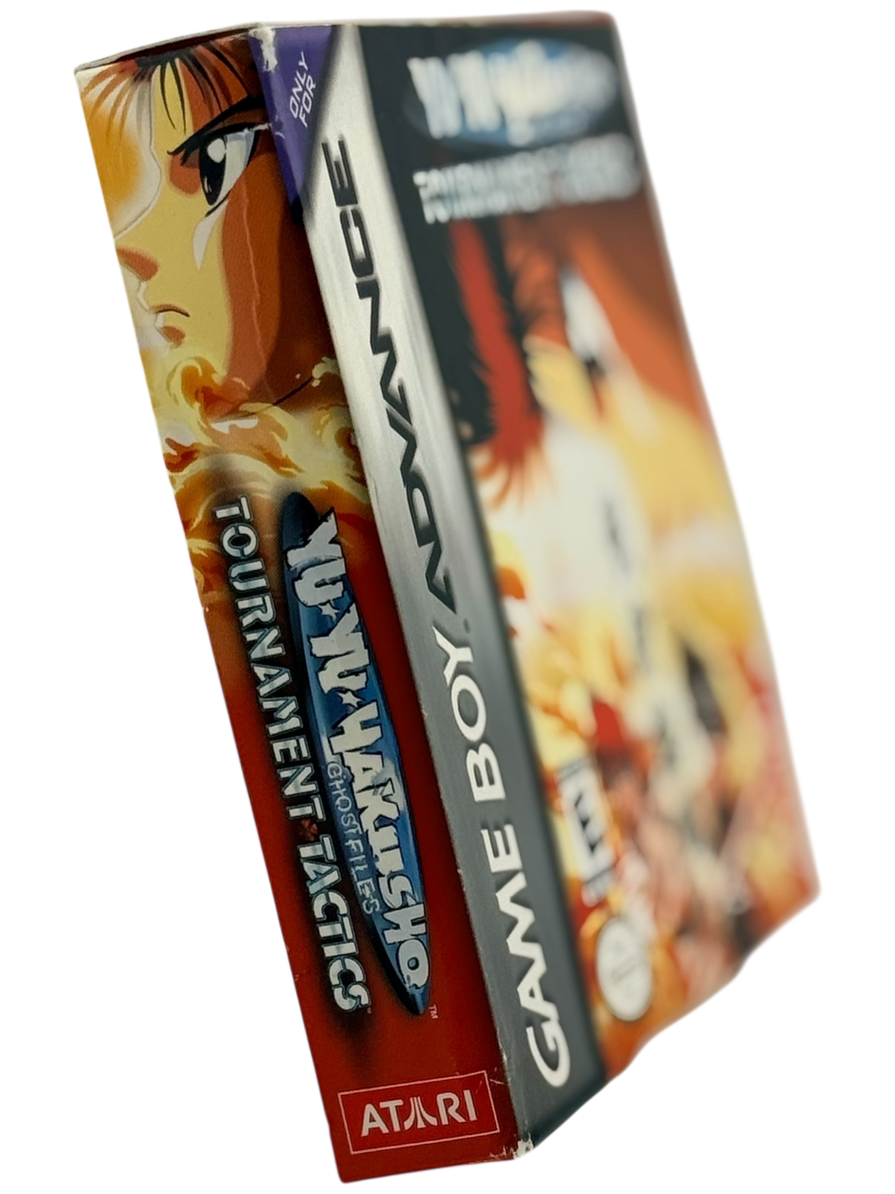 Yu Yu Hakusho Tournament Tactics