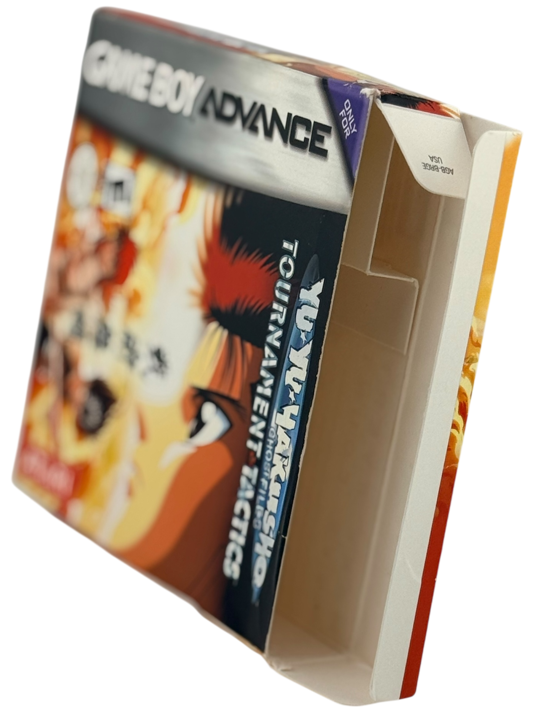 Yu Yu Hakusho Tournament Tactics