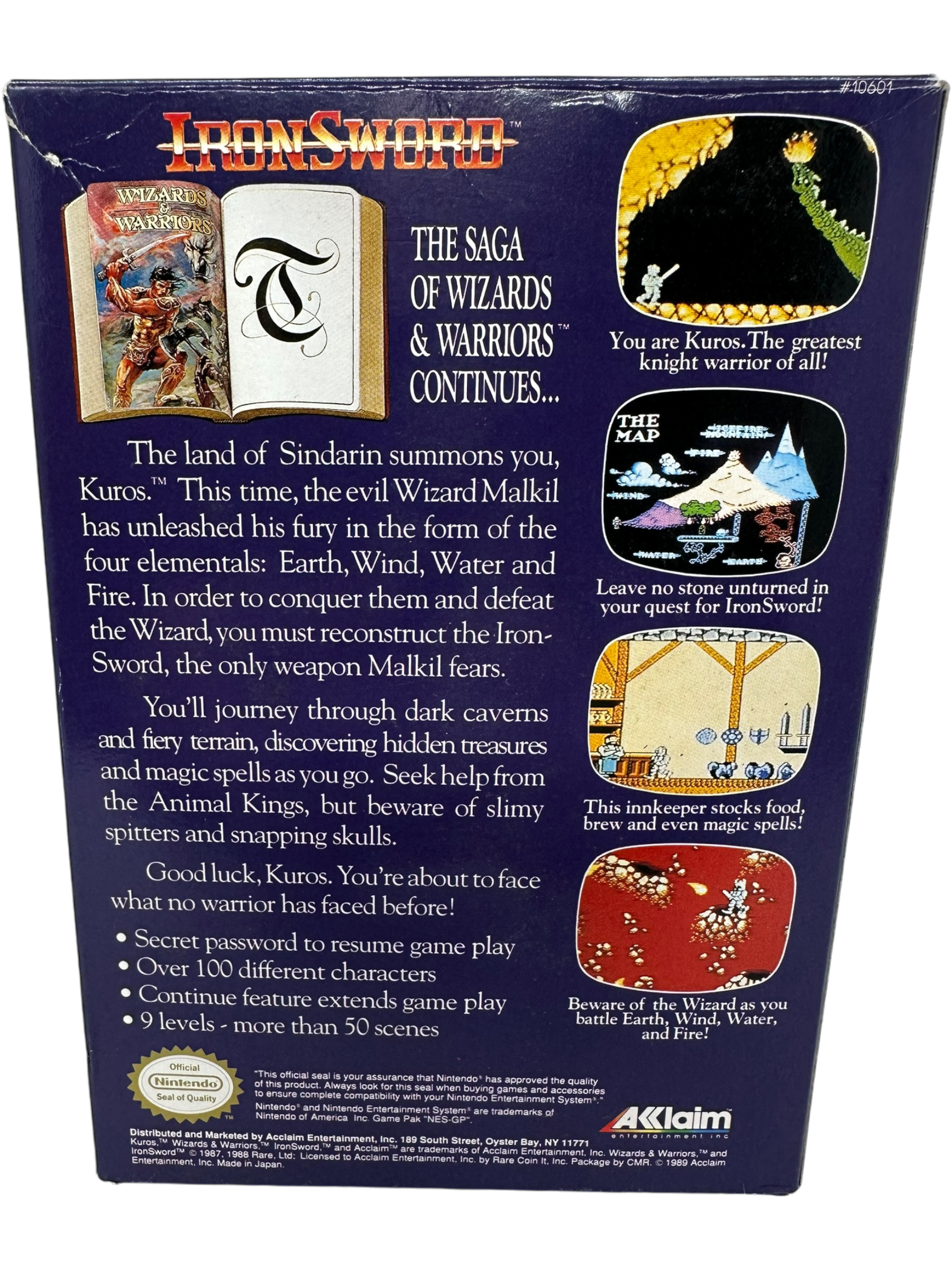 Iron Sword Wizards and Warriors II