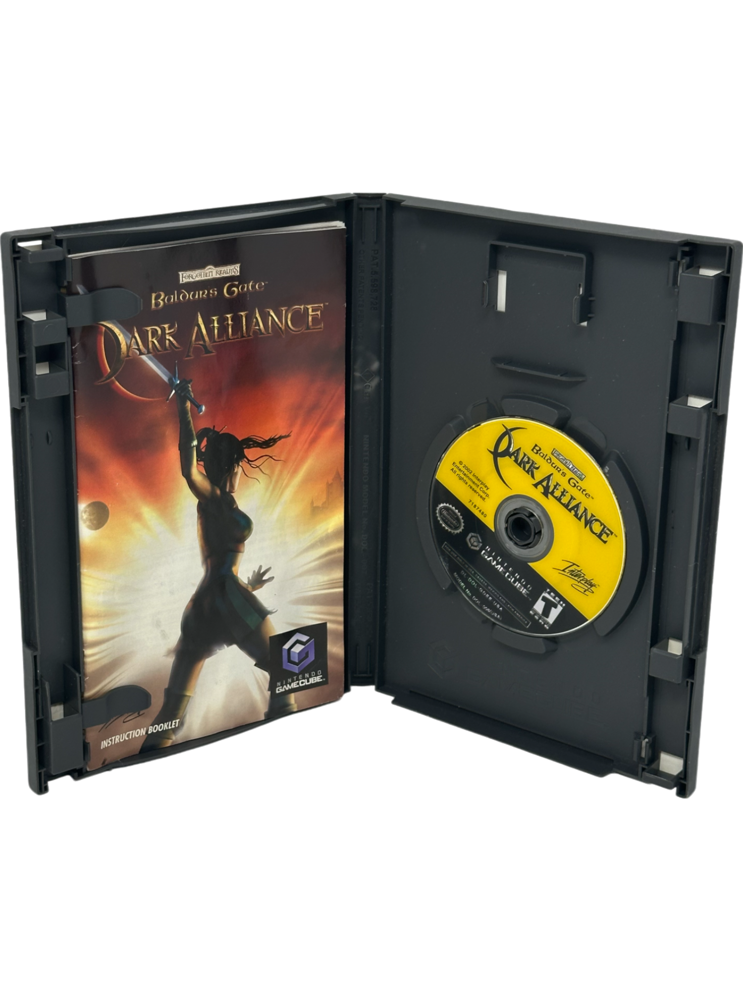 Baldur's Gate Dark Alliance