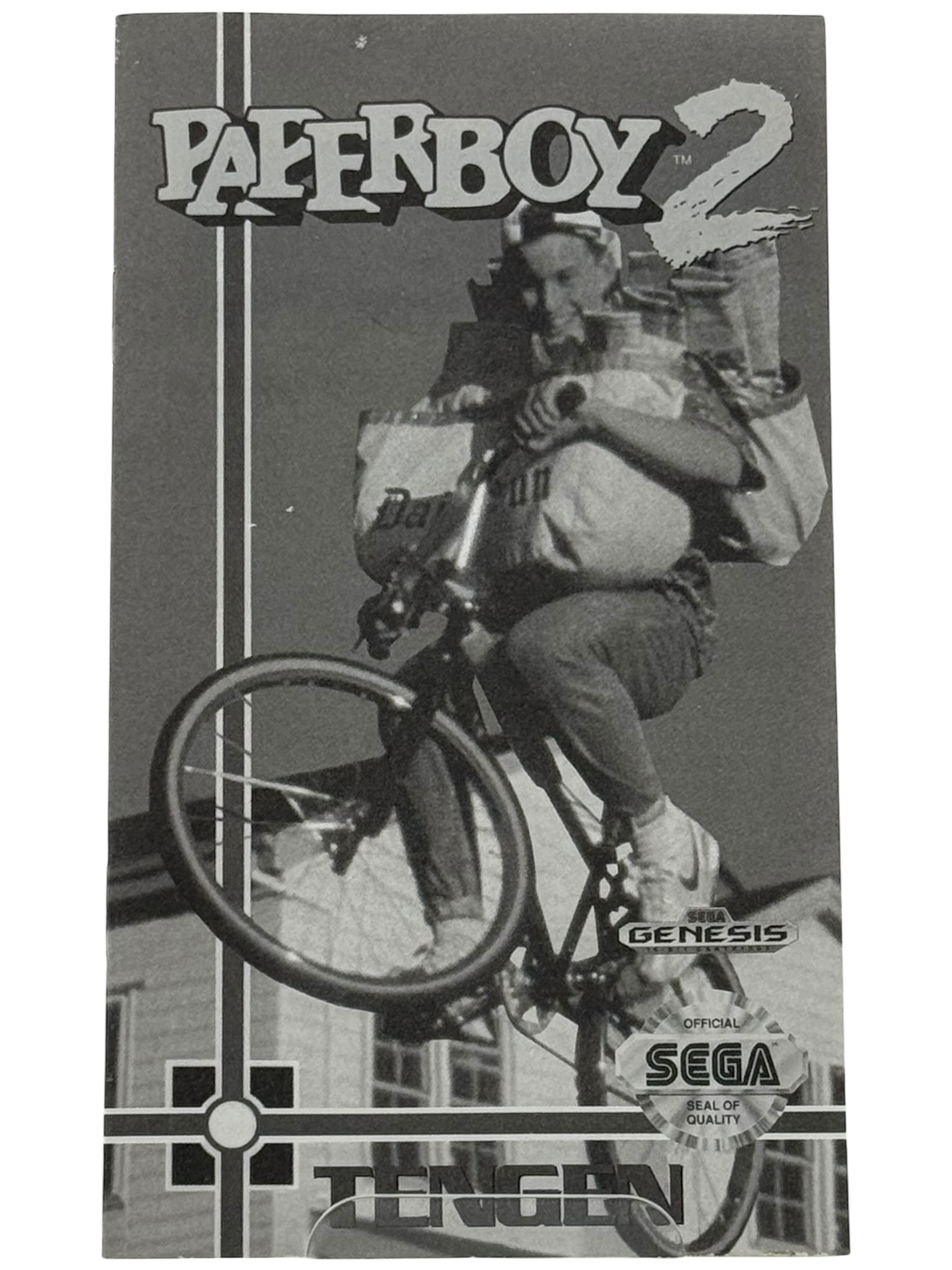 Paperboy 2