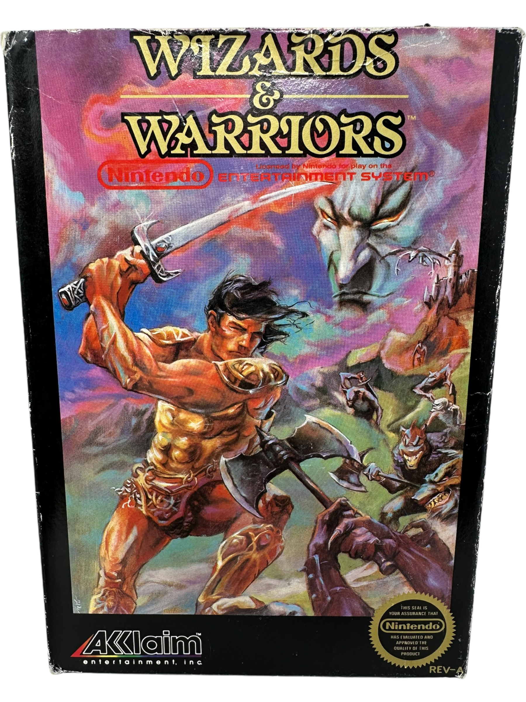 Wizards and Warriors
