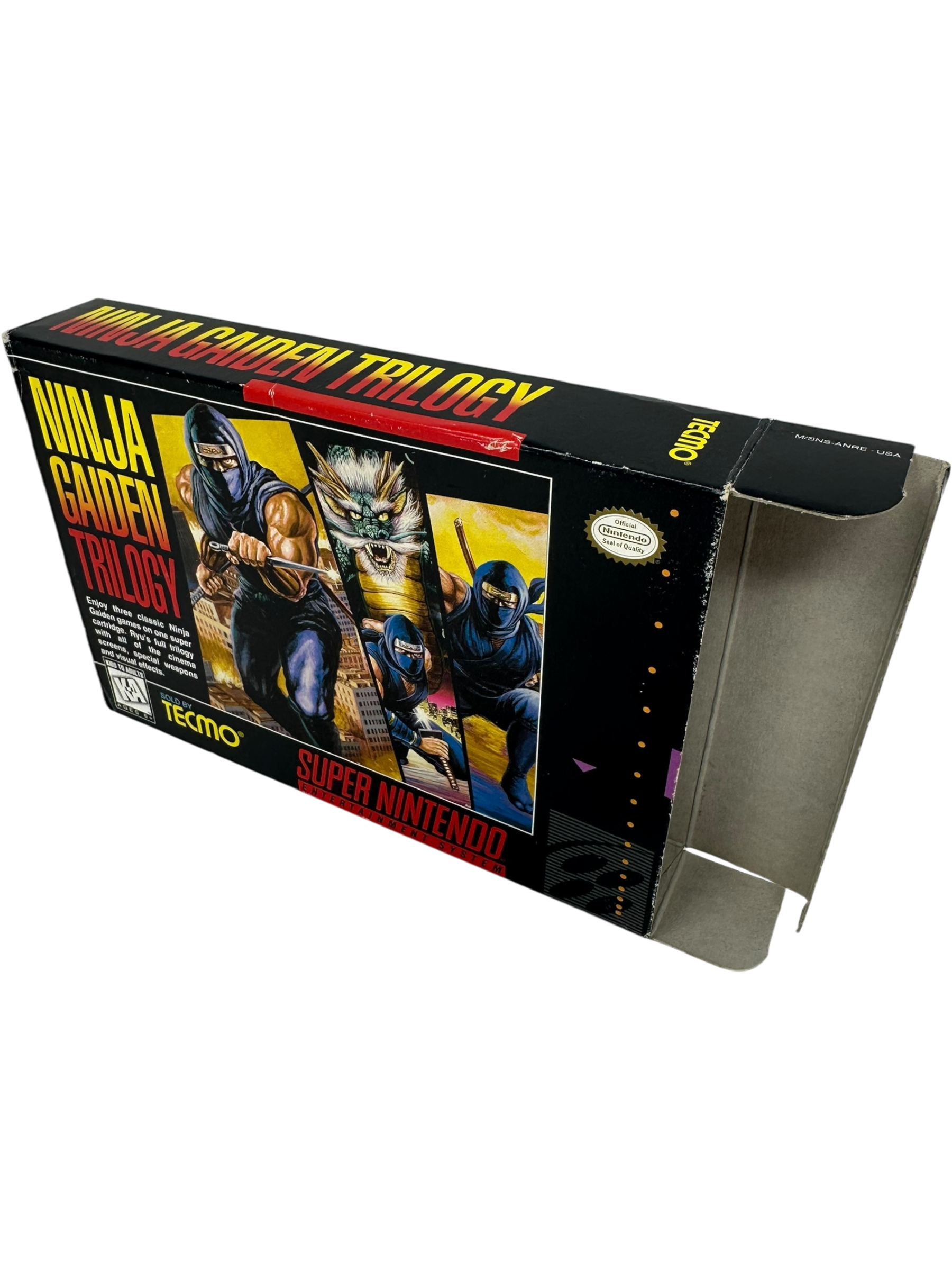 Ninja Gaiden Trilogy