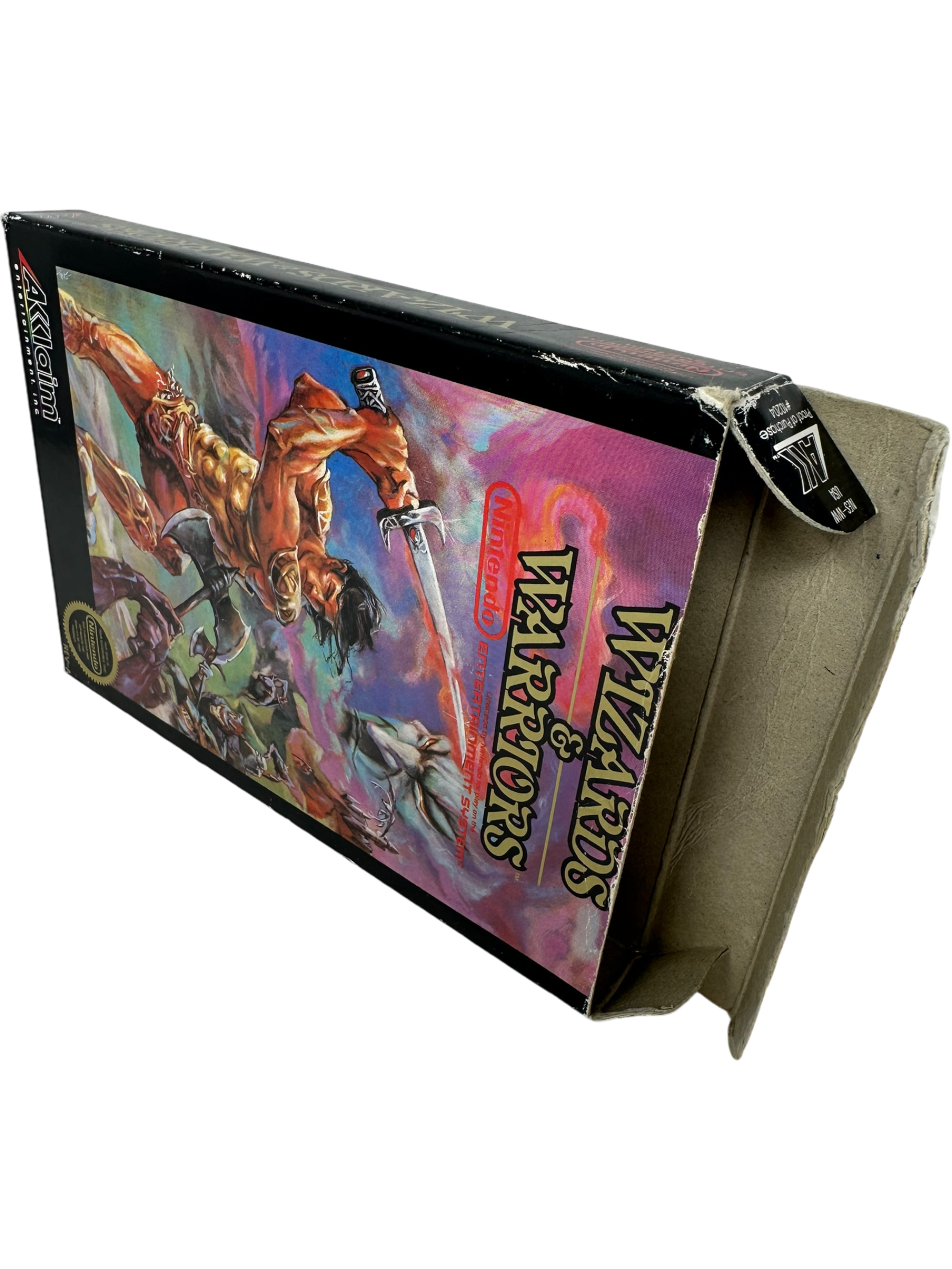 Wizards and Warriors
