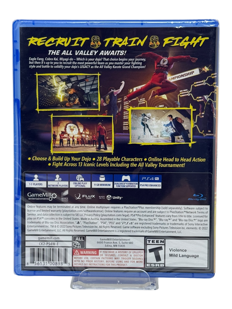 Cobra Kai 2: Dojos Rising