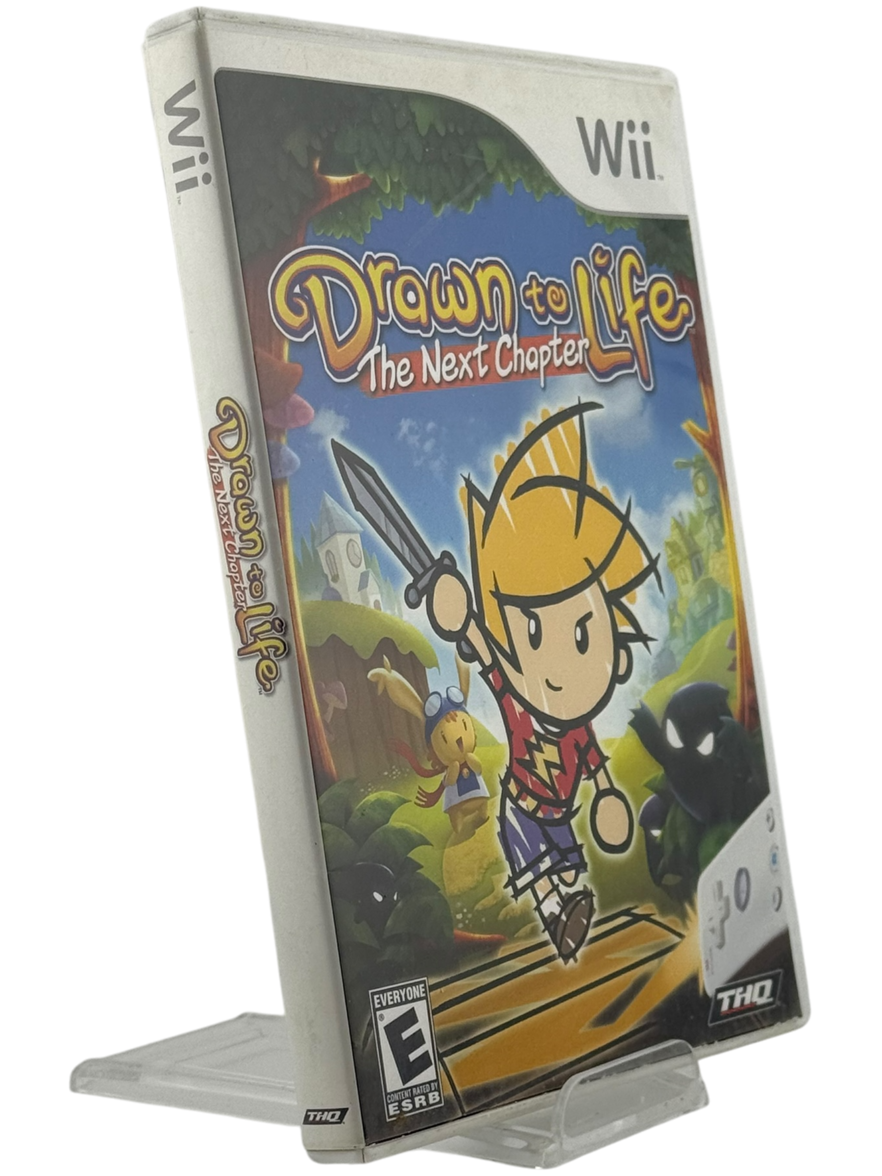 Drawn to Life: The Next Chapter