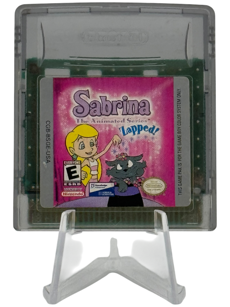 Sabrina Animated Series Zapped