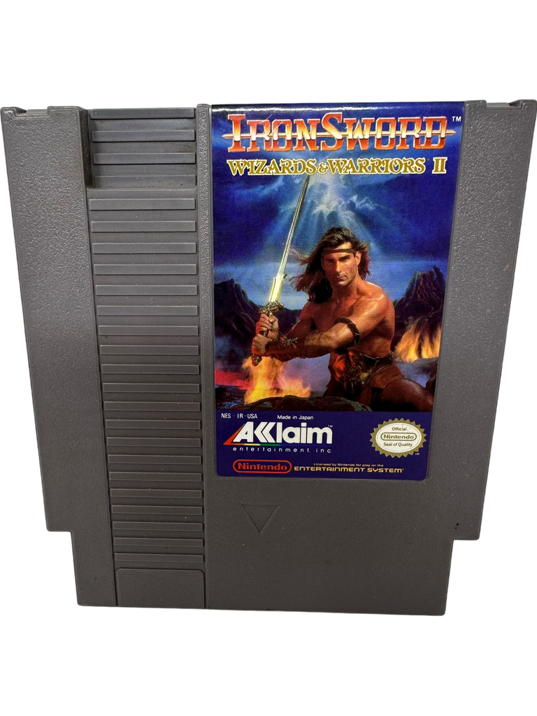 Iron Sword Wizards and Warriors II