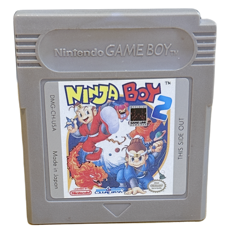 Ninja Boy 2