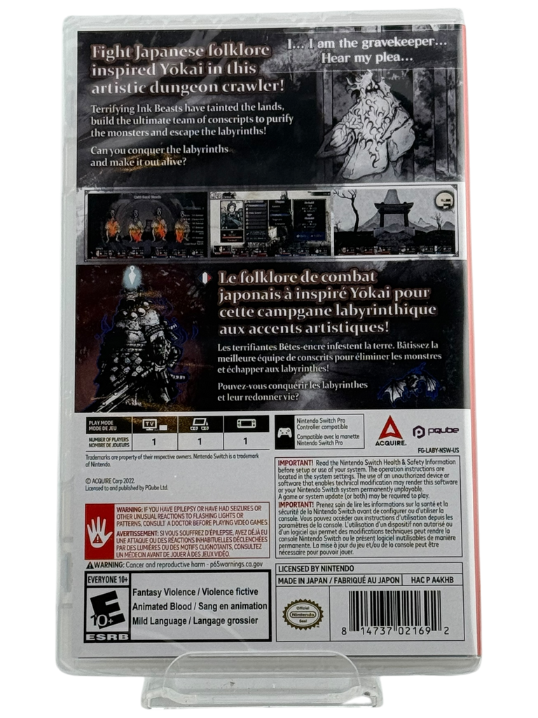 Labyrinth Of Zangetsu