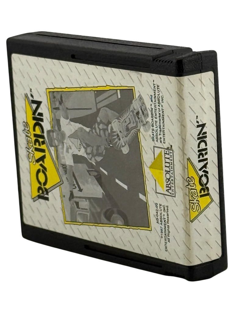 Skate Boardin' A Radical Adventure