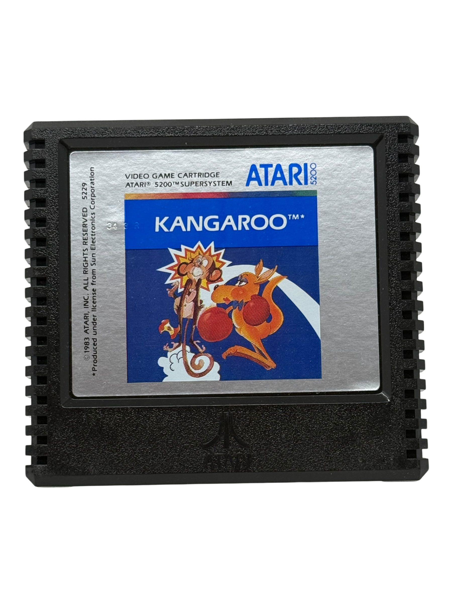 Kangaroo