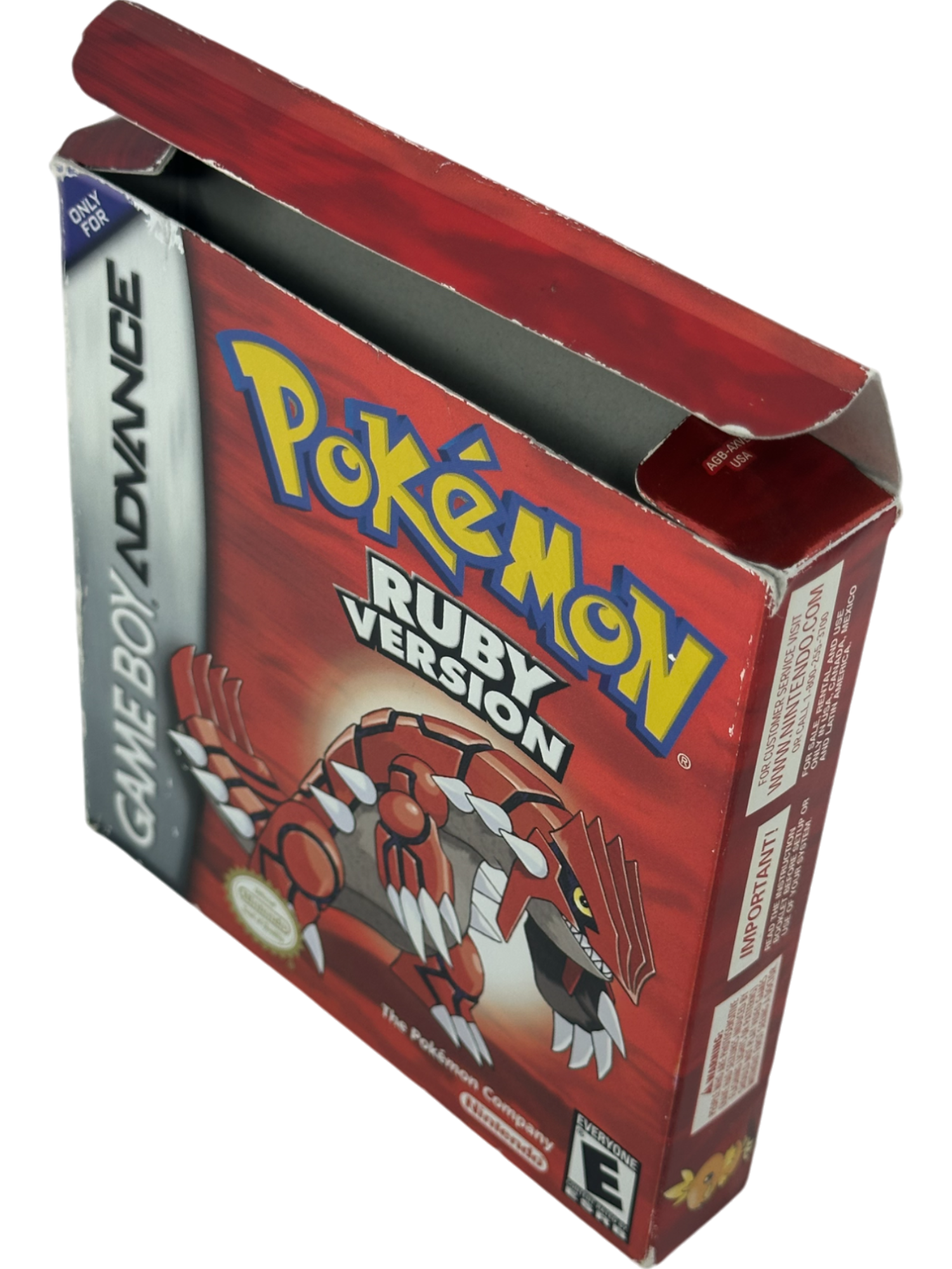 Pokemon Ruby