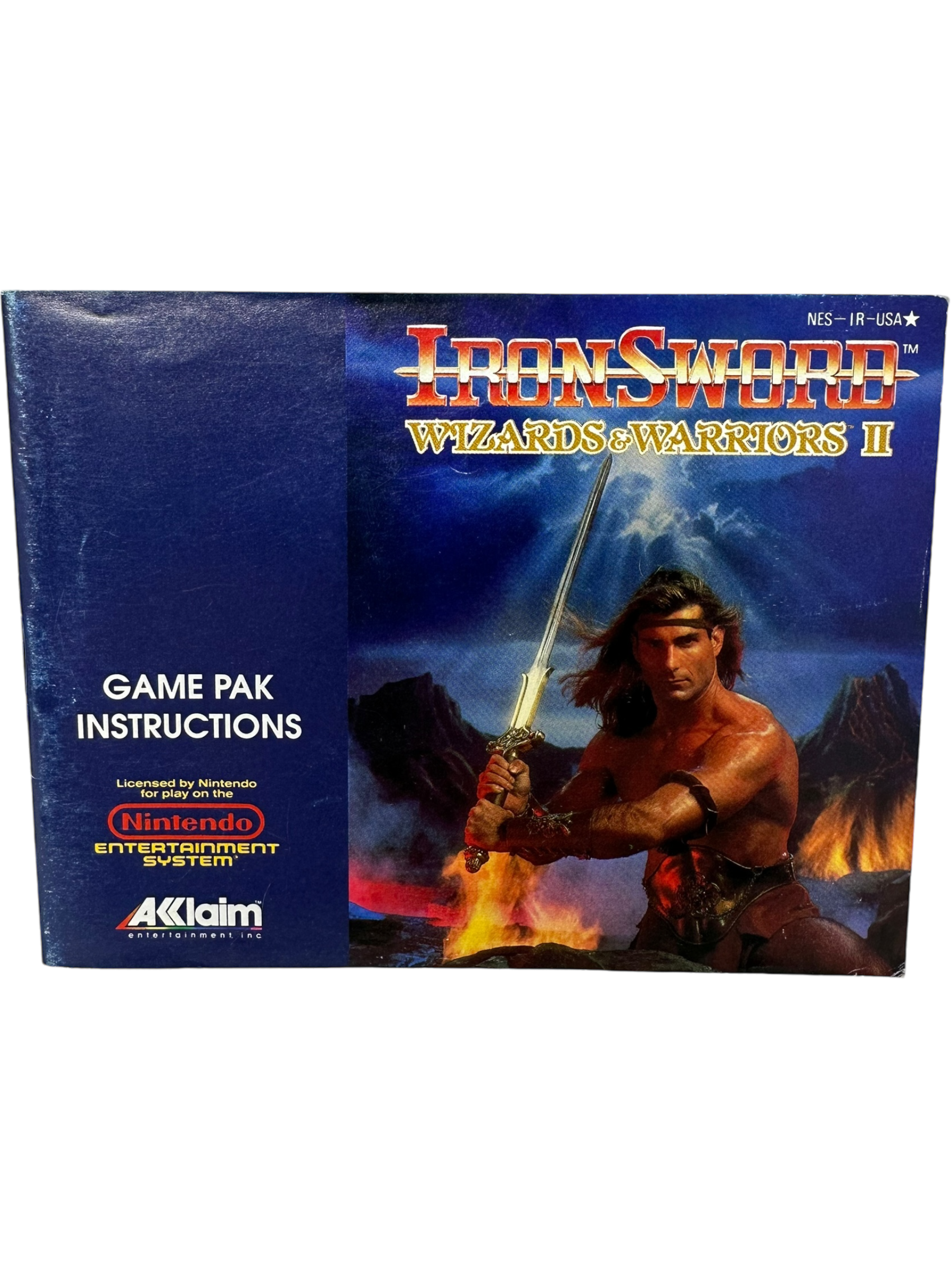 Iron Sword Wizards and Warriors II