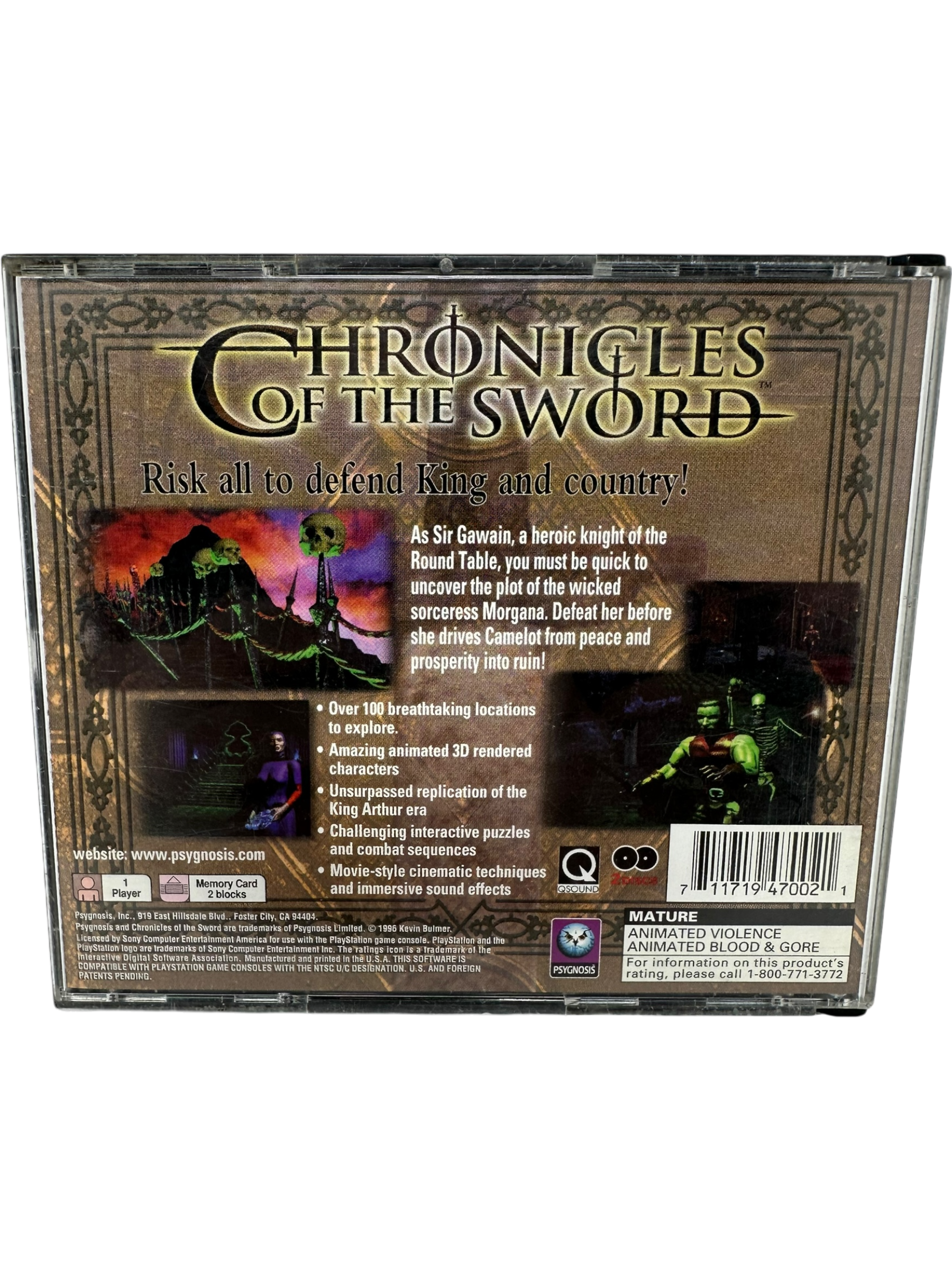 Chronicles of the Sword
