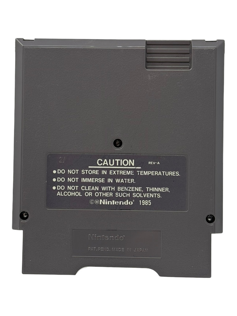 Street Fighter 2010 the Final Fight