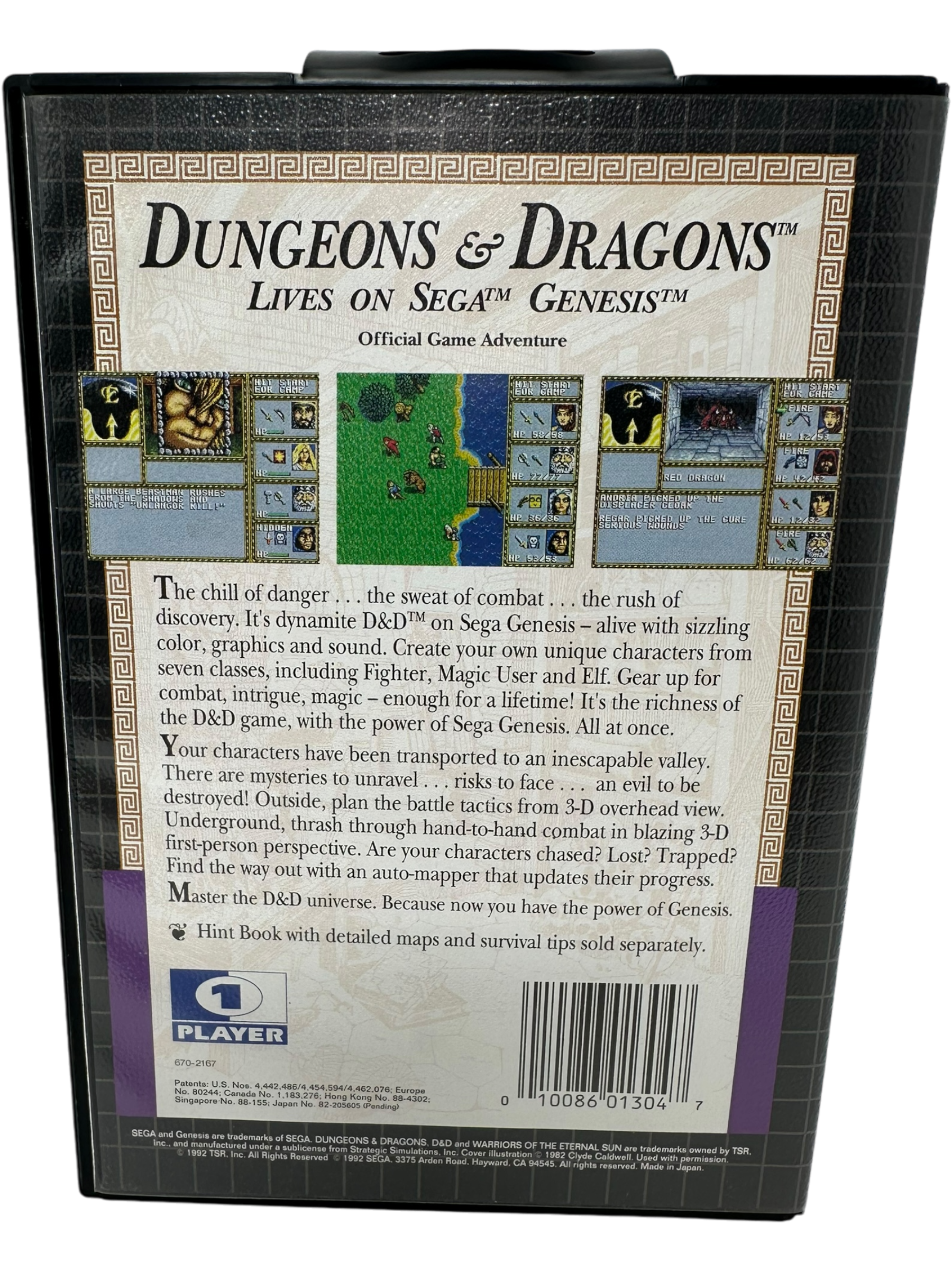 Dungeons & Dragons Warriors of the Eternal Sun