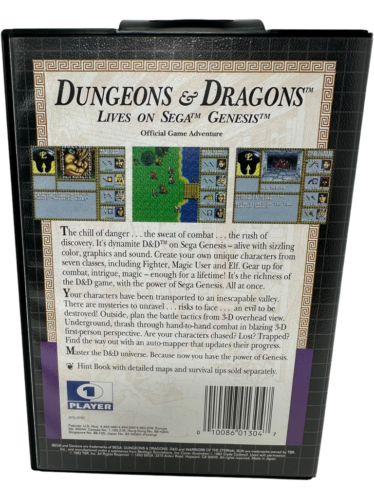 Dungeons & Dragons Warriors of the Eternal Sun