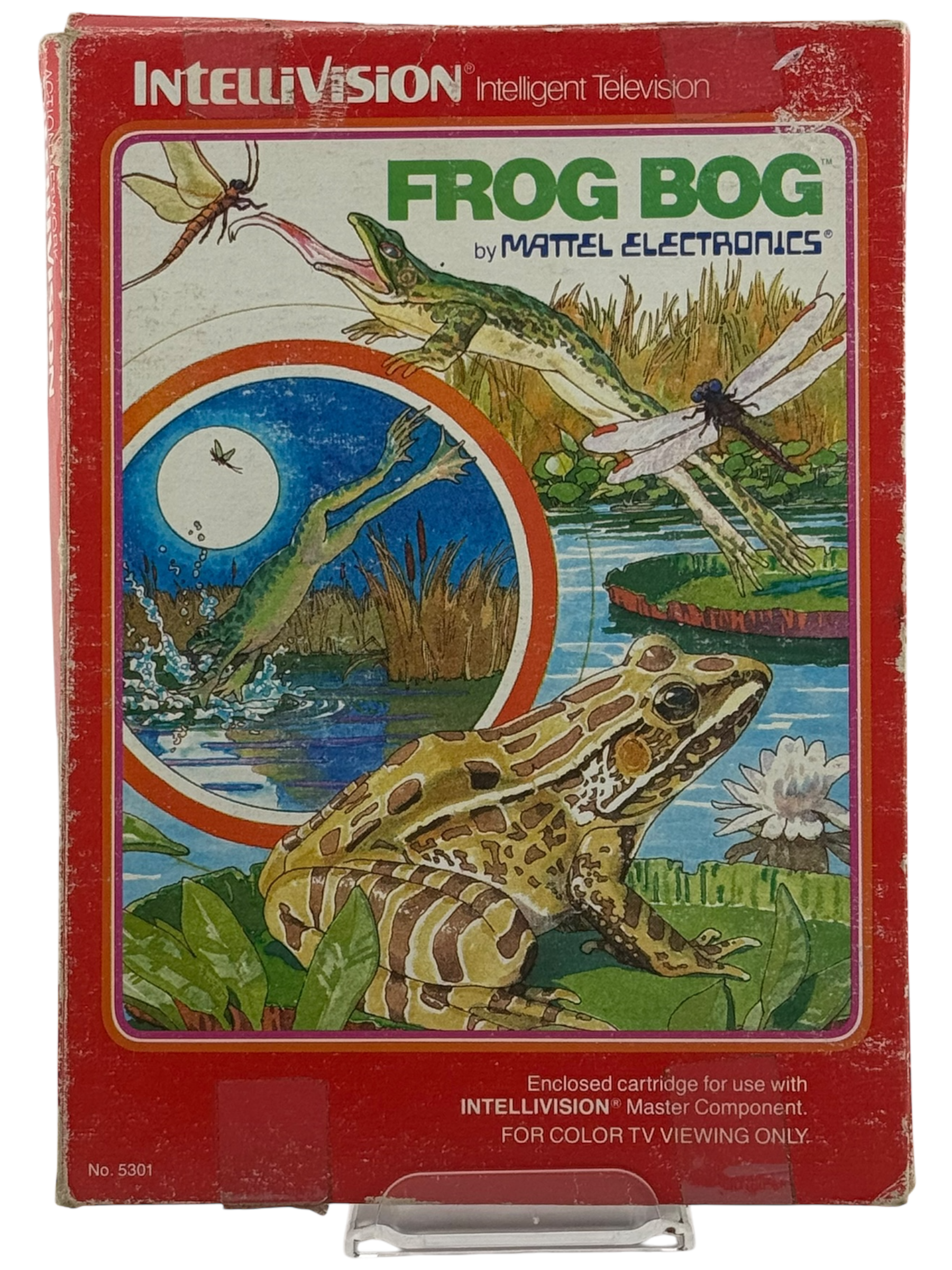 Frog Bog