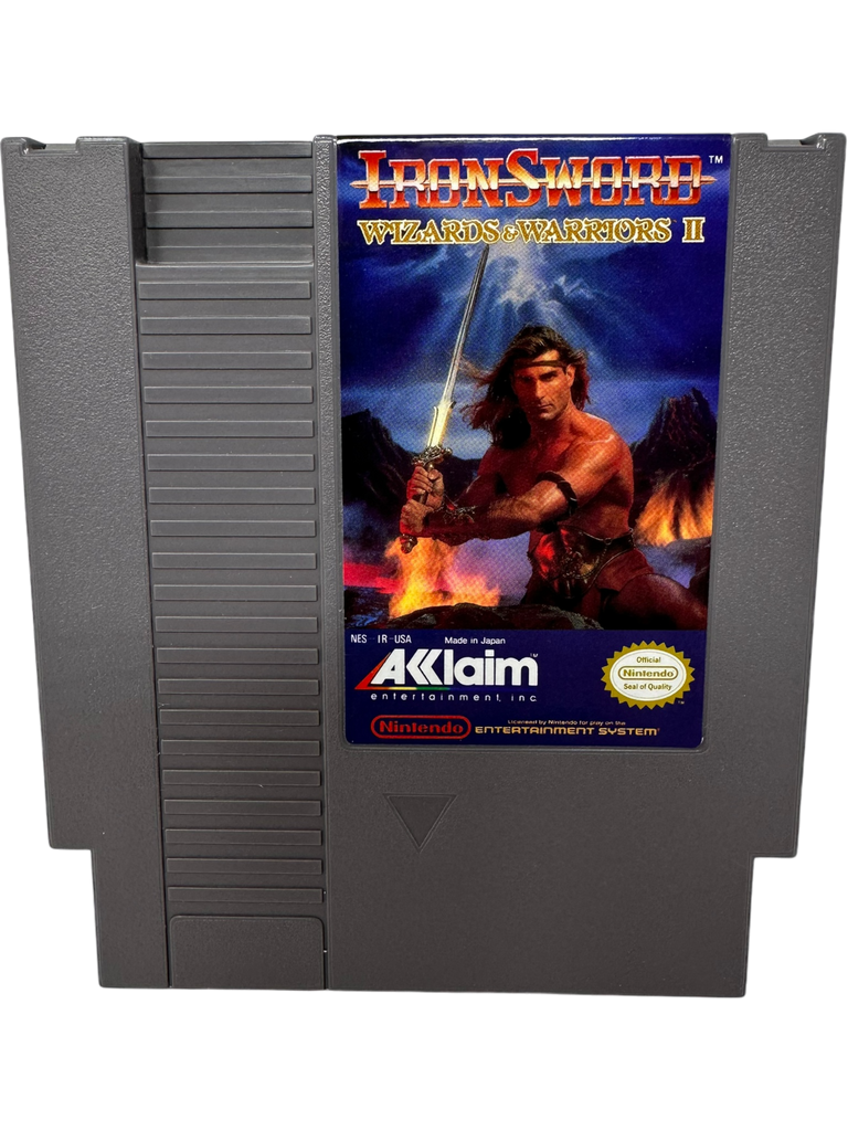 Iron Sword Wizards and Warriors II
