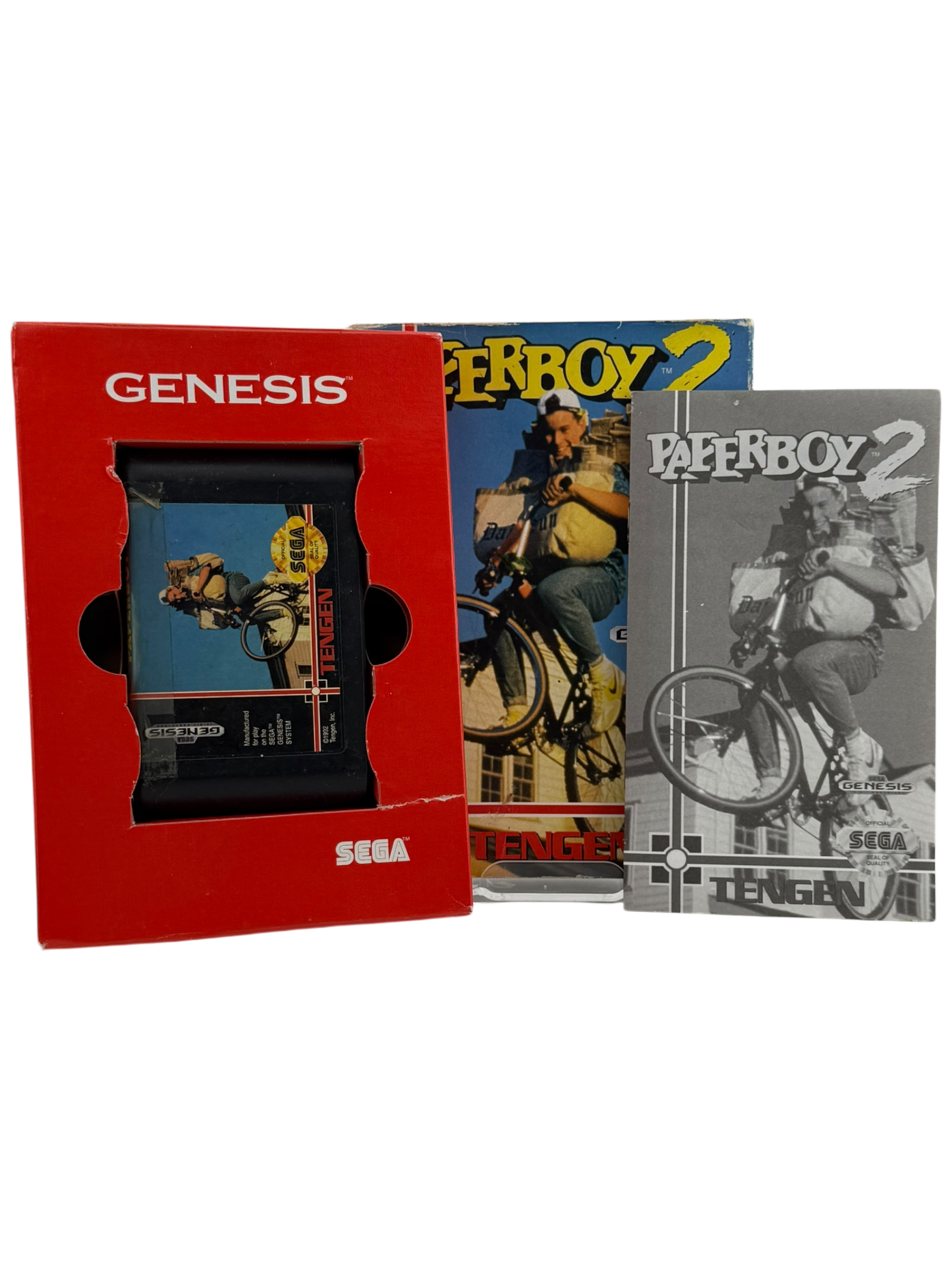 Paperboy 2