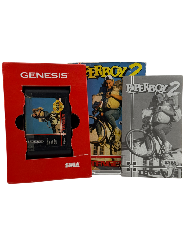 Paperboy 2