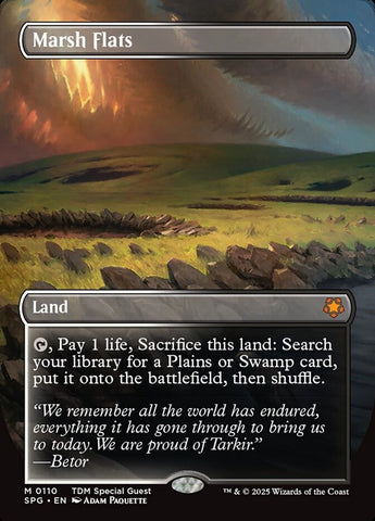 Marsh Flats (Borderless) (Foil)